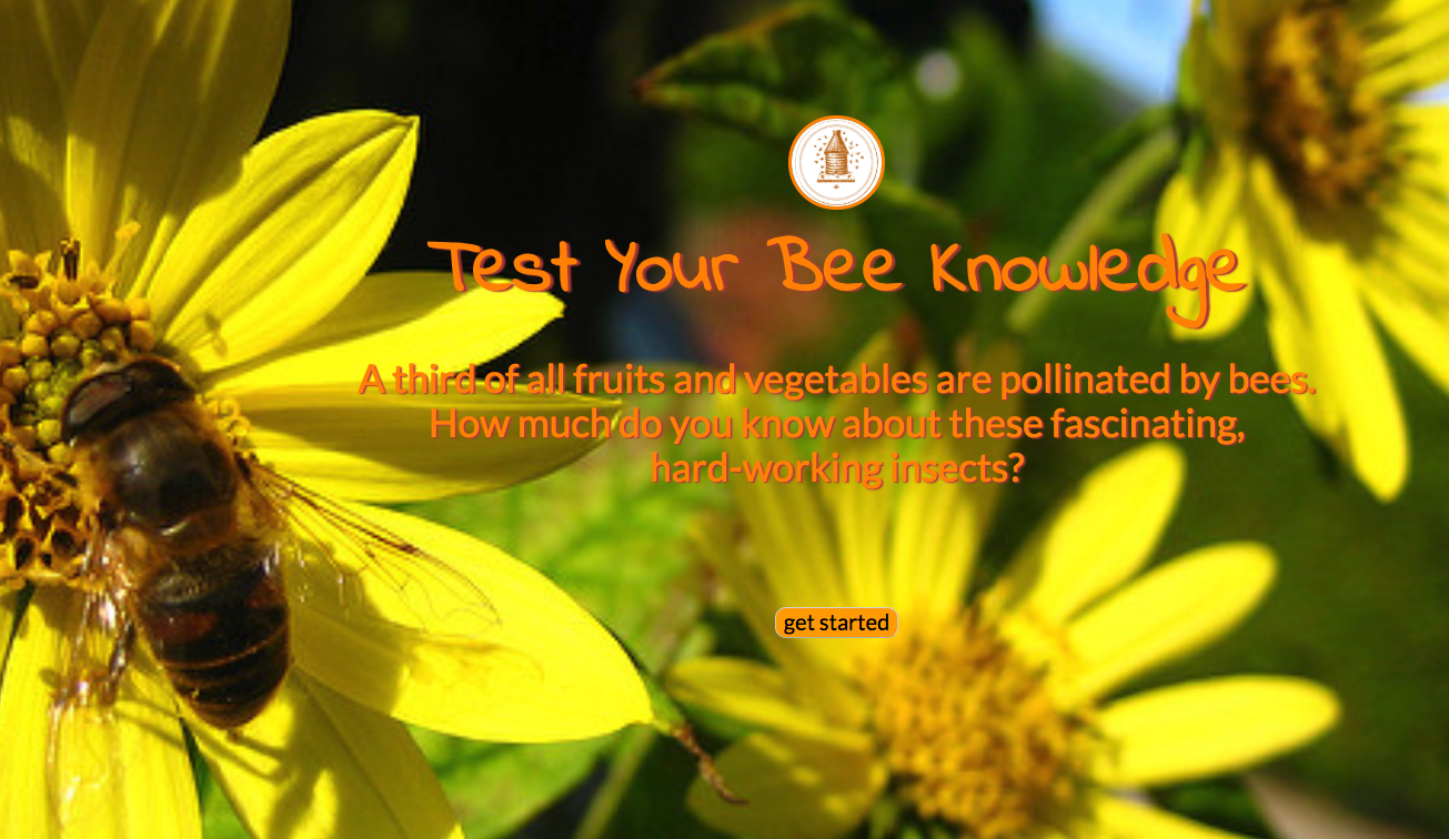 Test Your Bee Knowledge